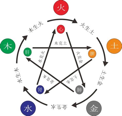 八字缺木怎麼補|八字五行缺木怎么辦 怎么補